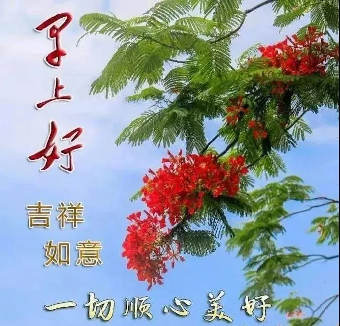 早上好温馨短信集锦早晨好图片暖心带字