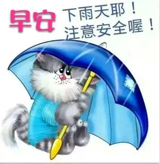 下雨天祝福早上好经典动态图片祝福语图片
