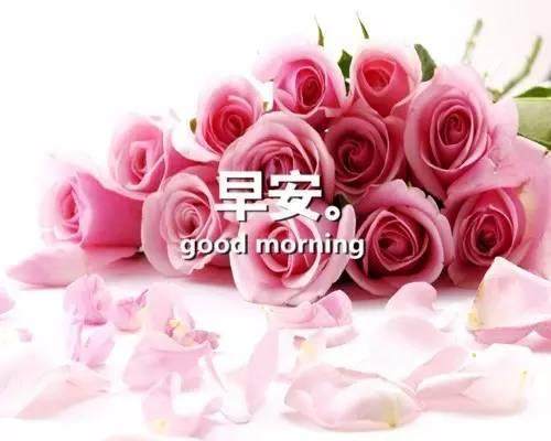 适合发微信的早安心语正能量唯美语录,句句经典!_腾讯新闻