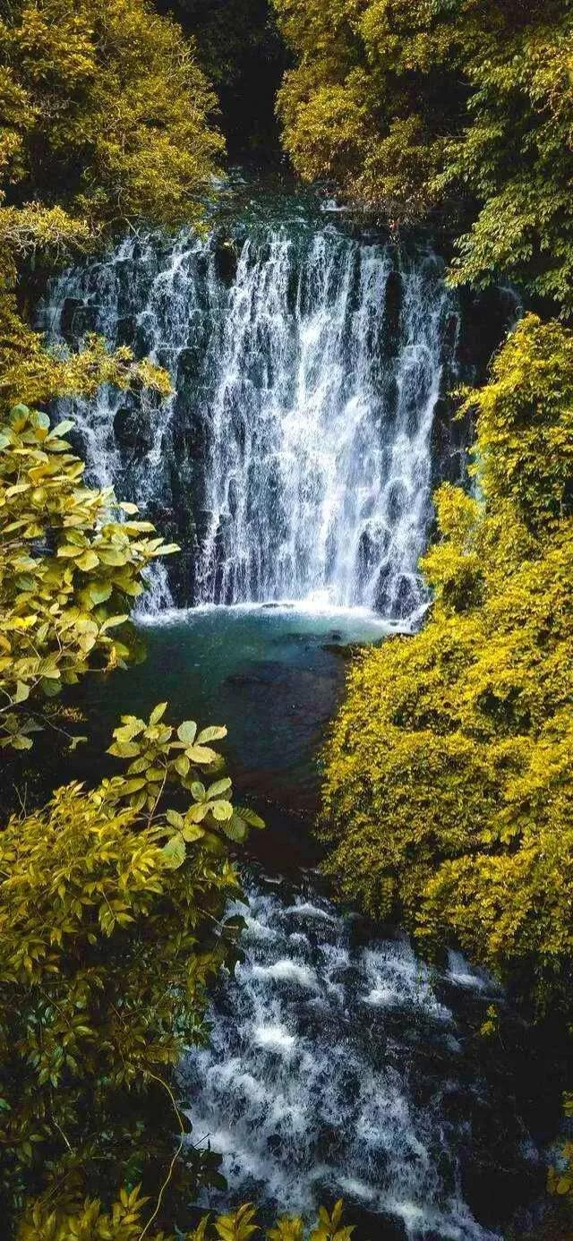 640_1386竖版 竖屏