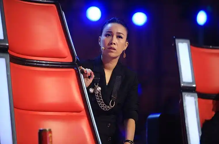 那英:刀郎要能上春晚我就砸电视,王健林仍邀 其参加万达年会!