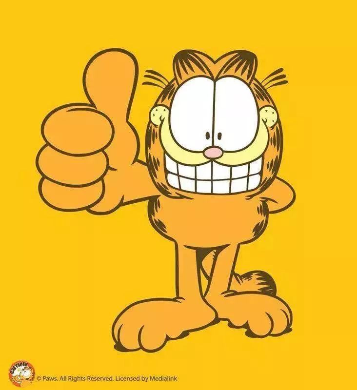 现在这只萌萌哒加菲猫终于正式登陆广州,5月18日起每天都有机会在美丽