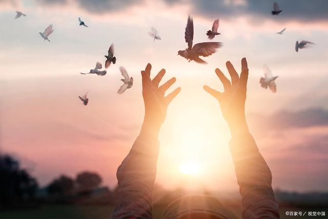 人生的旅途亦如此,充满了起伏和挑战,但我们要怀揣着积极向上的心态