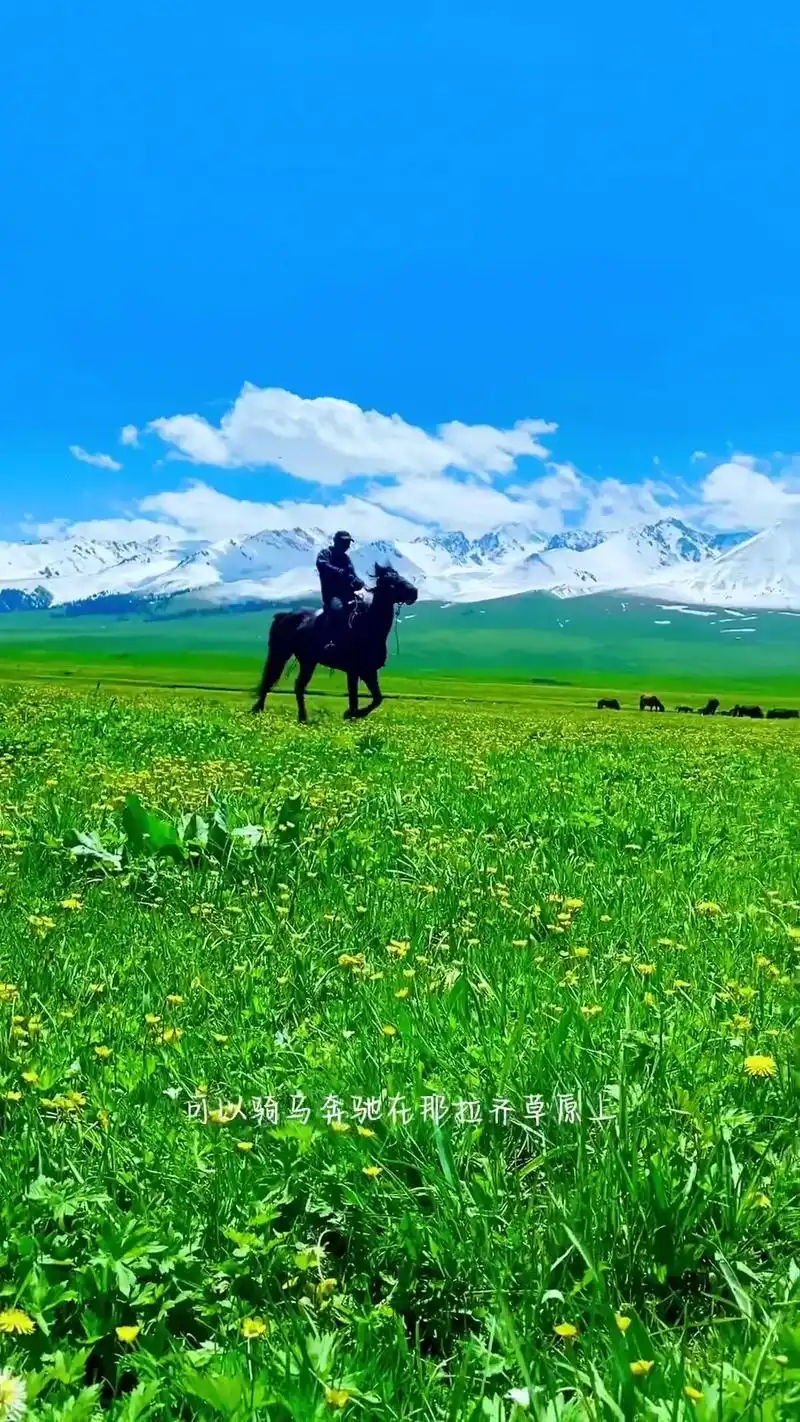 骏马奔驰在辽阔的大草原#抖音图文来了 ##抖音图文伙伴计划  - 抖音