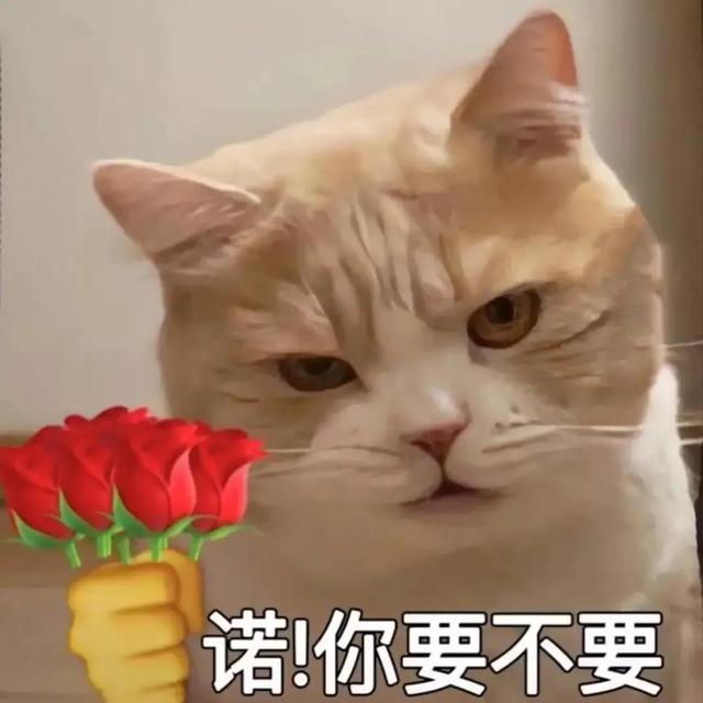 女朋友生气了哄她的表情包女朋友生气了哄她的话表情包