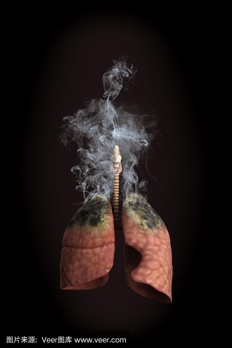吸烟肺