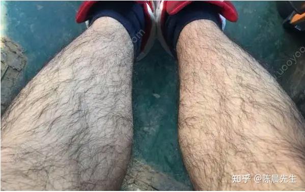 陈晨科普为什么有的男人会长胸毛