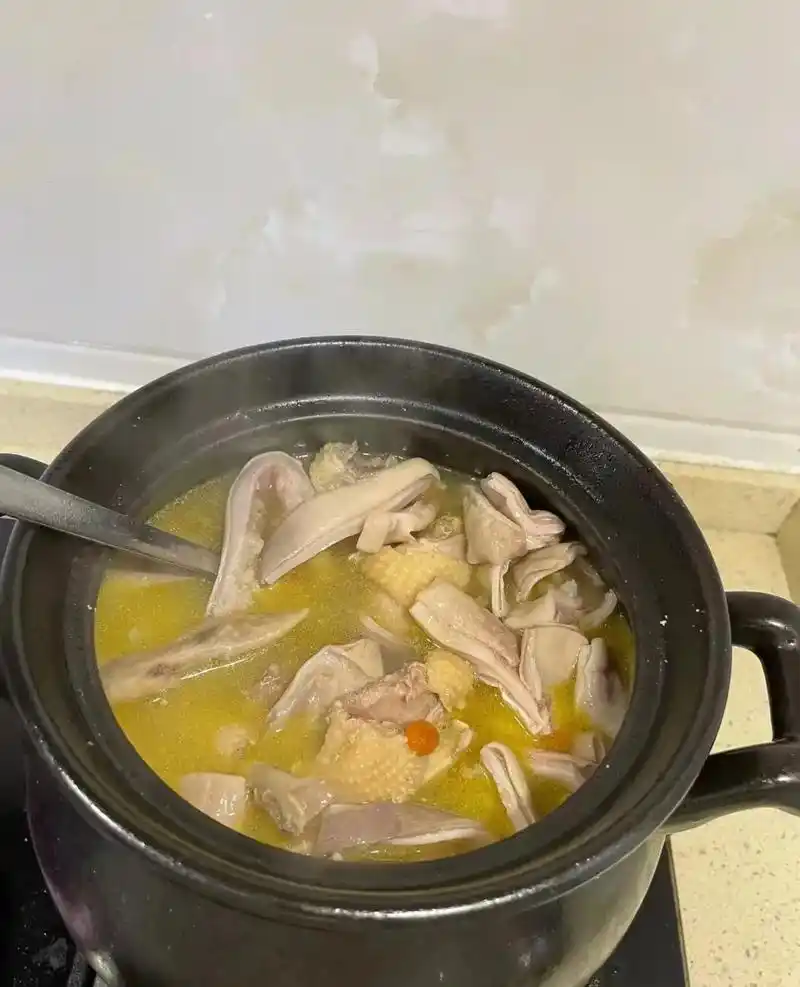 在广东,煲汤不仅是一门烹饪艺术,更是一种生活哲学