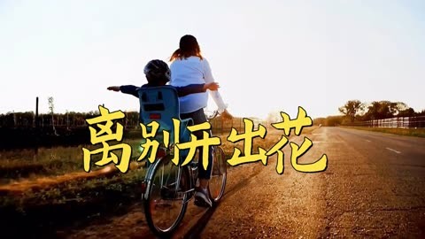 离别开出花:我终将会绽放,无需羡慕别人的光