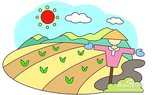 美丽的稻田风光画完了!