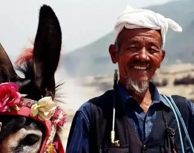 晋中,吕梁一带则一年四季以白羊肚手巾,成圈状挽手头顶.