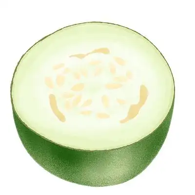 手绘卡通新鲜蔬菜冬瓜png素材冬瓜蔬菜元素