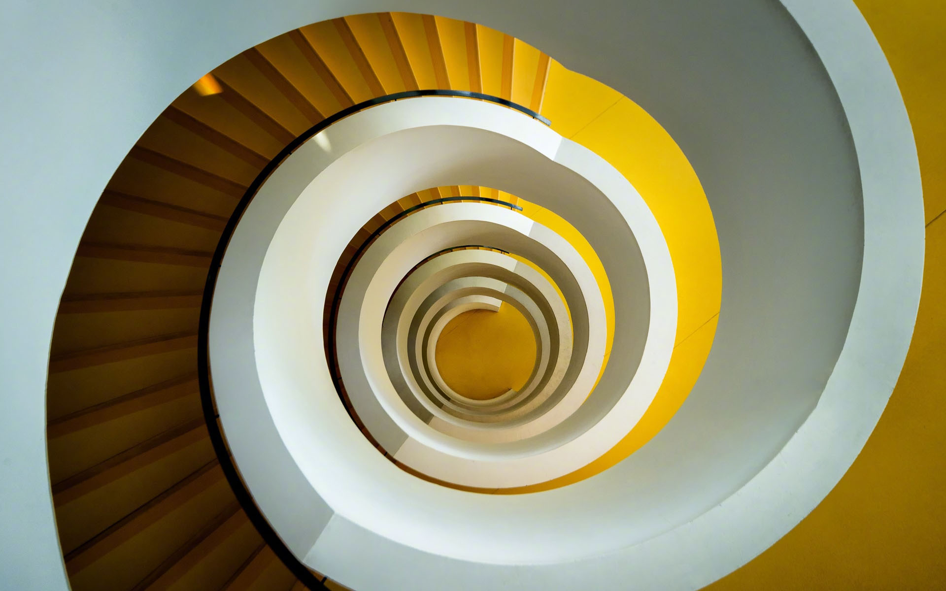 这三个生肖的人后福勃发