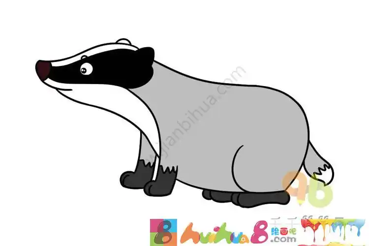 教你怎么画獾的简笔画