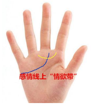如果在感情线上出现一条环状的纹路,谓之金星带,若是金星带与感情线