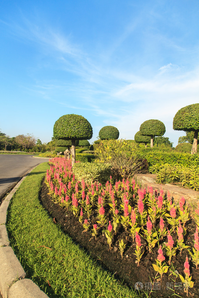 美丽的园林景观