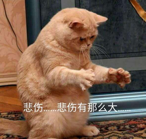 喵:错了,我是说悲伤那么大