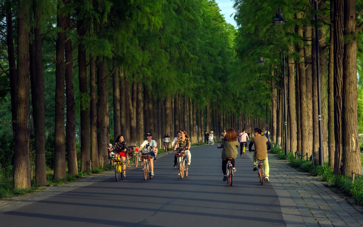武汉东湖绿道-骑行篇 - 雪泥鸿爪248 - 图虫