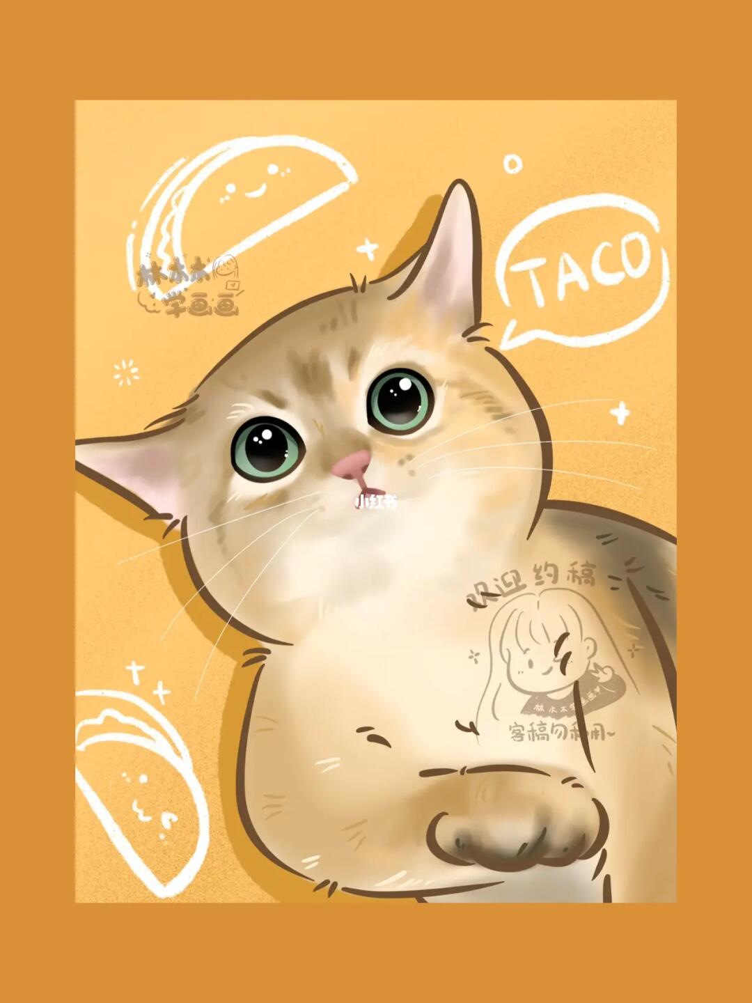 今天是金渐层宝宝壁纸