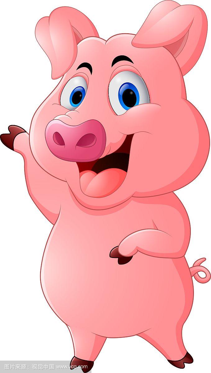 可爱的卡通猪