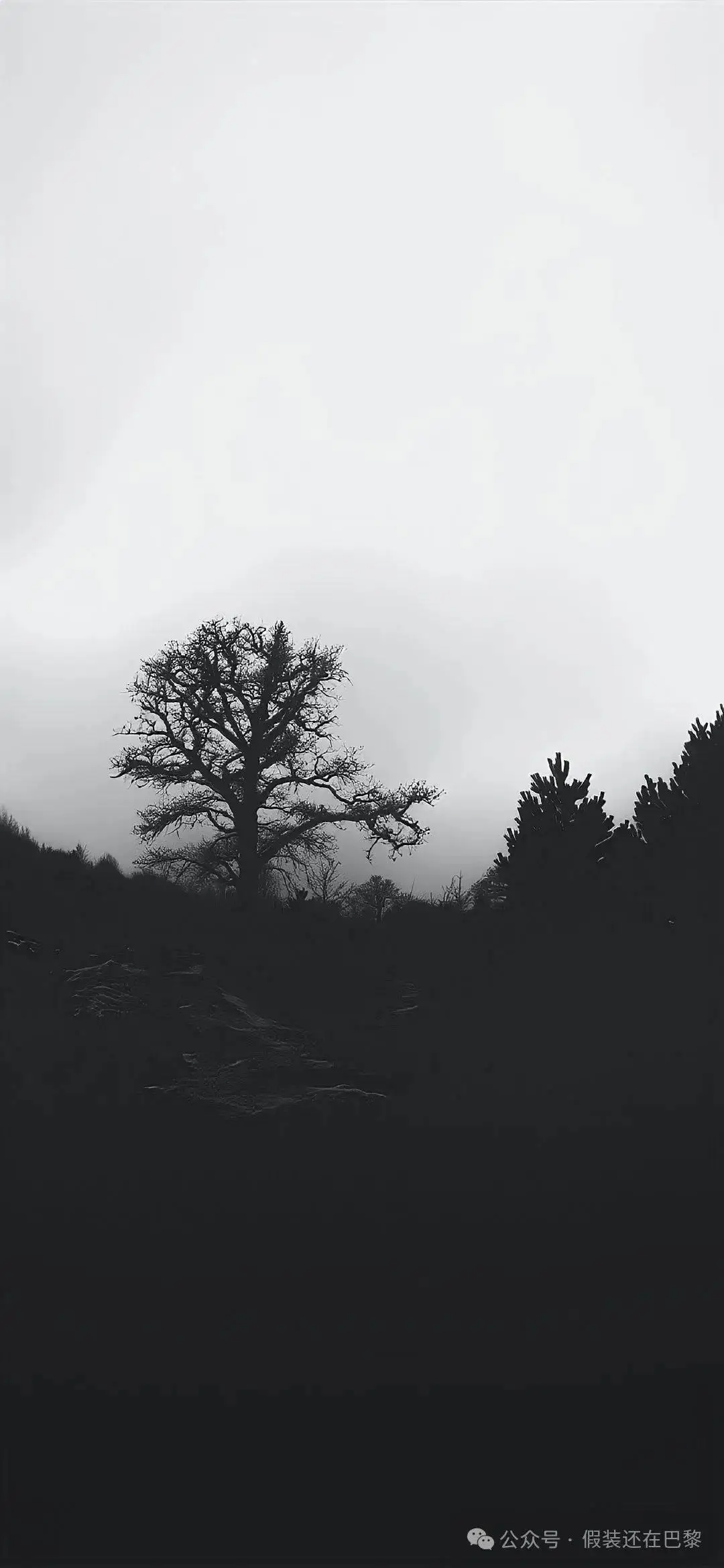 除了黑白,你要允许有灰色的存在.我历山河而来,你的眉目仍惊鸿如初.