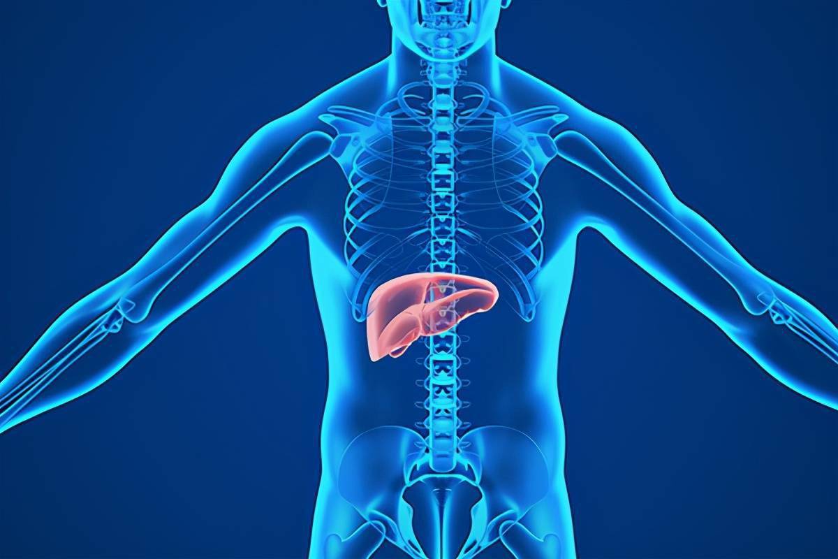 肝脏出问题牙齿先知道若牙齿出现这几种情况可能要多加防范