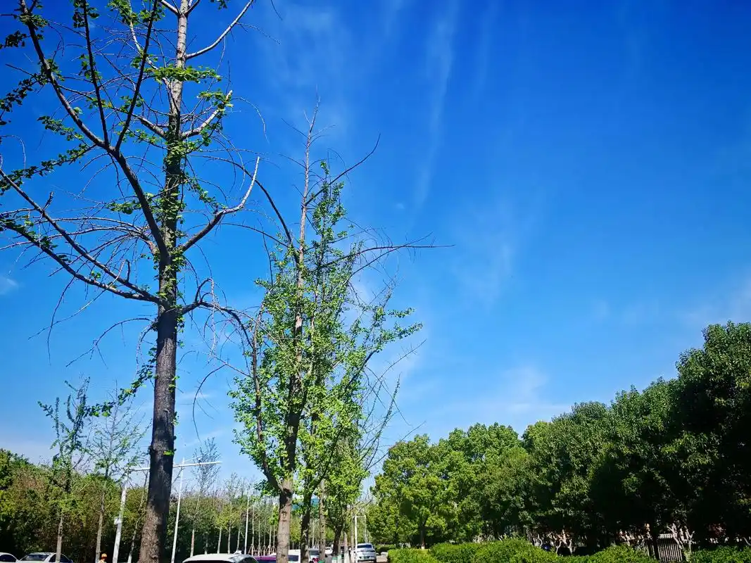 夏天的风景真是太好看了