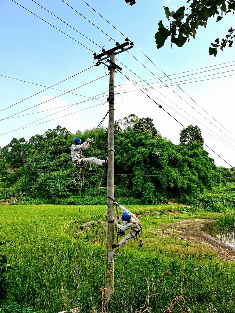41℃!电杆滚烫,他们爬上去抢修