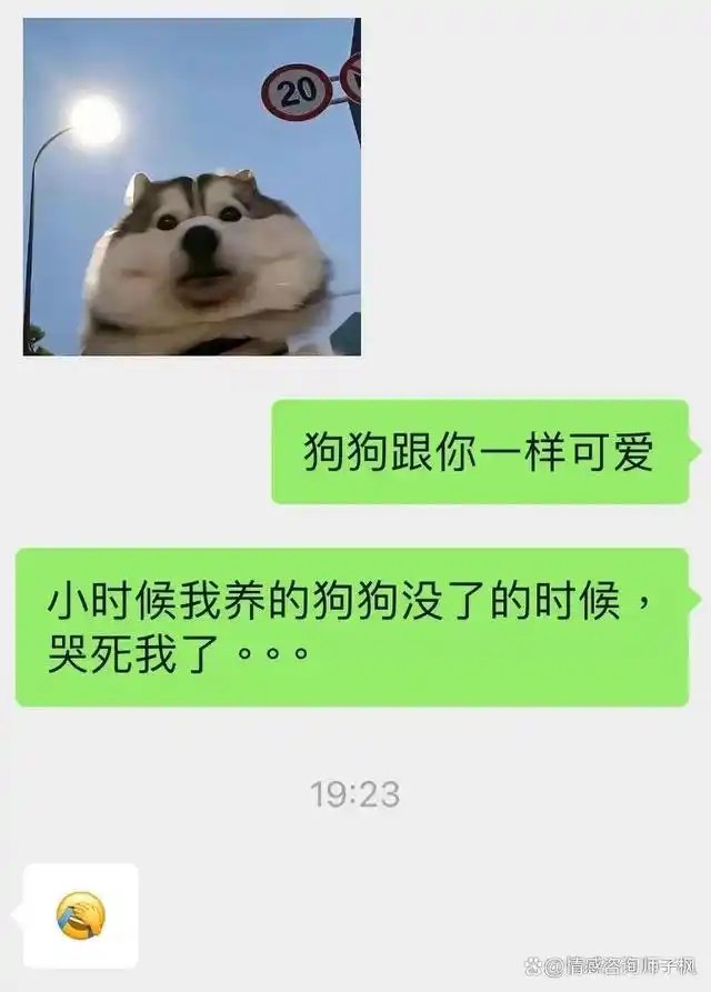 搭讪加了微信,但聊天只回表情,咋整啊?
