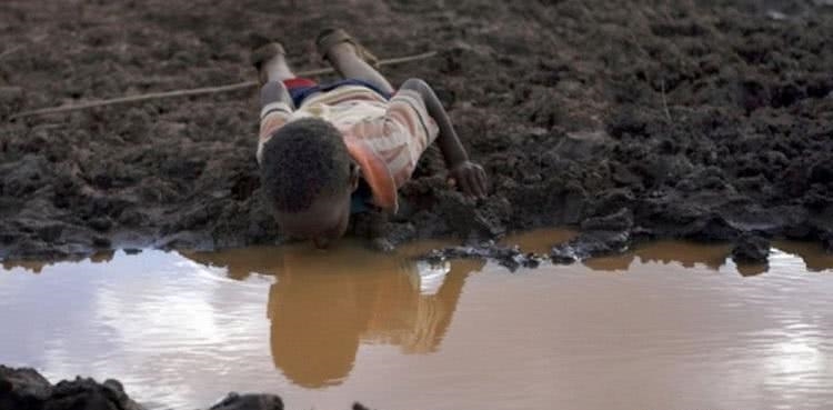 饥饿难耐的年幼非洲男孩弯下腰,舔舐着污浊低洼中所剩无几的水,这水