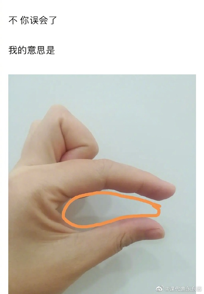 用手比划南方蟑螂大小