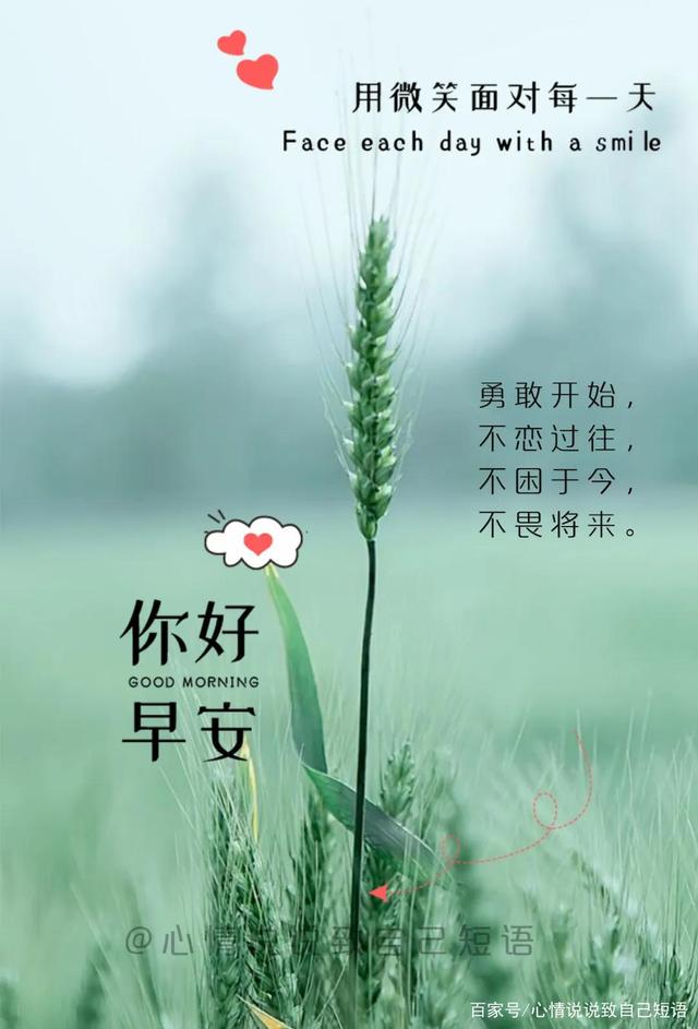 早安正能量朋友圈问候语,每日第一条早安说说
