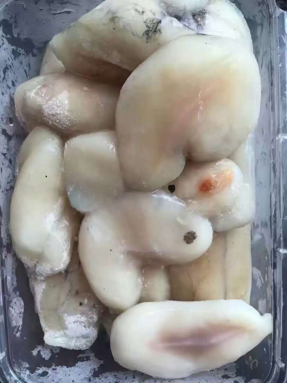 东山岛海鲜,野生墨鱼蛋乌贼蛋蒸蛋的做法,墨鱼蛋乌贼蛋怎么做好吃