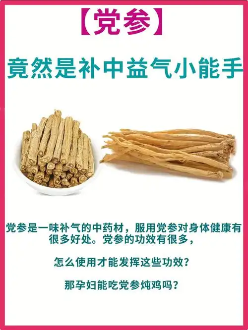 党参的作用有很多,怎么使用才能发挥这些作用?