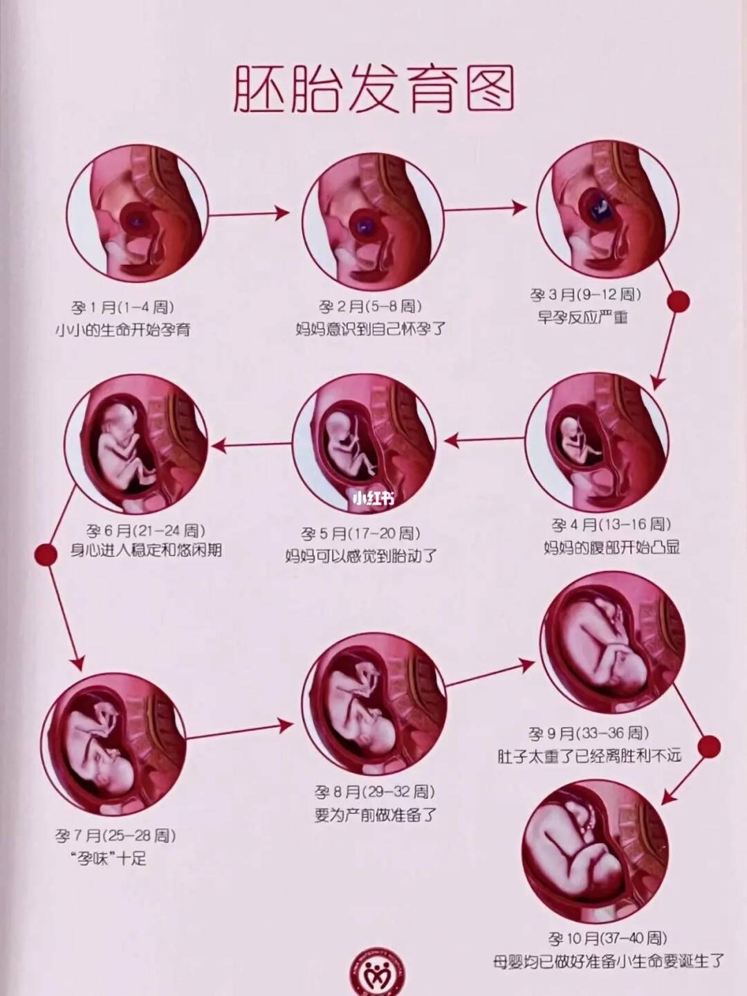 宝宝的生长发育