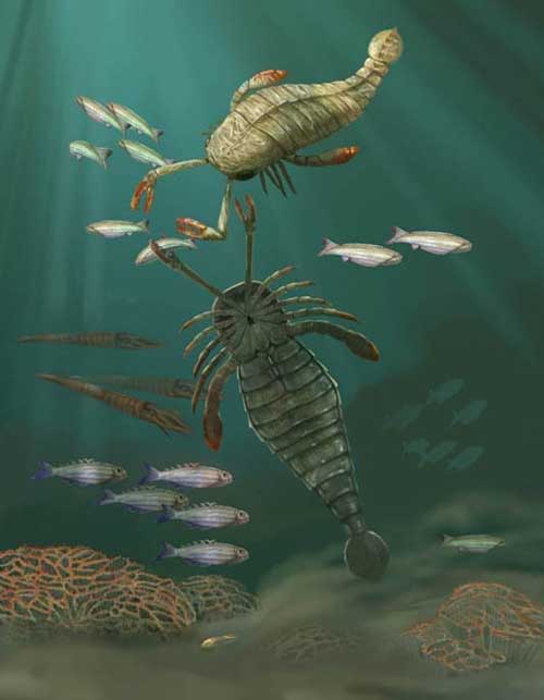 奇异的远古水生物,了解一下吧!__财经头条