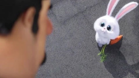 爱宠大机密:人畜无害的小兔子,武力值竟然也这么可怕!