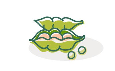 卡通豆子简笔画