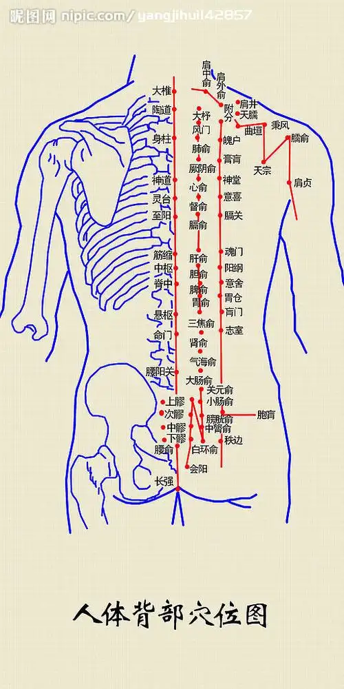 【转载】【引用】拔罐后皮肤颜色鉴别