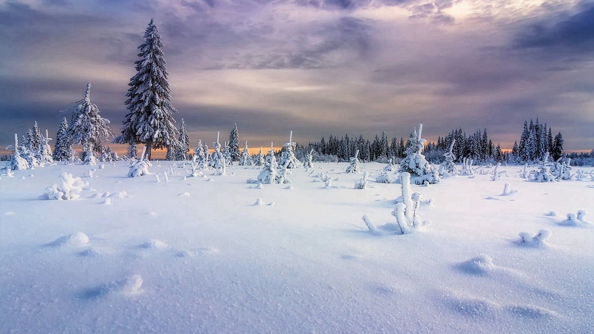 唯美冬季雪景风光桌面壁纸