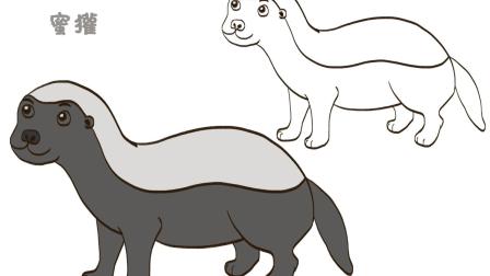 蜜獾简笔画
