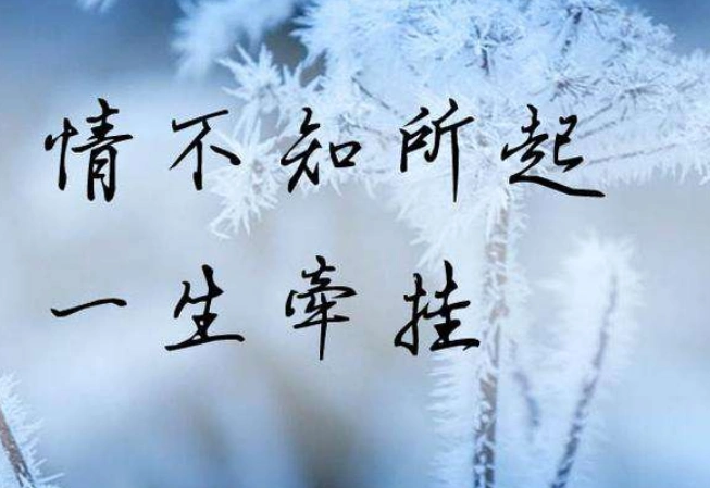 牵挂高中作文800字