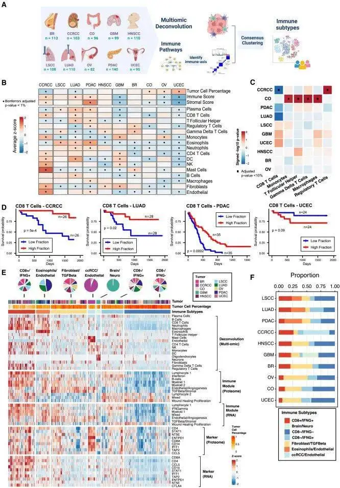 十大癌症蛋白质基因组学精准免疫_癌细胞_wang_治疗