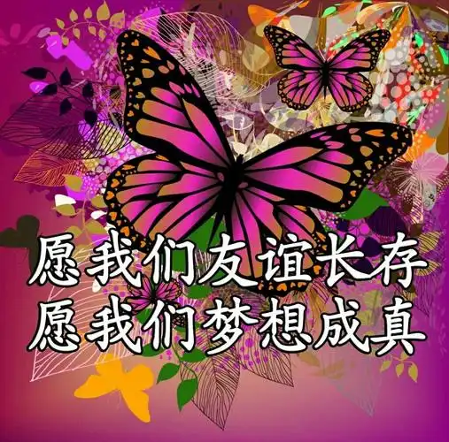 愿我们的友谊长存,愿我们的梦想成真!