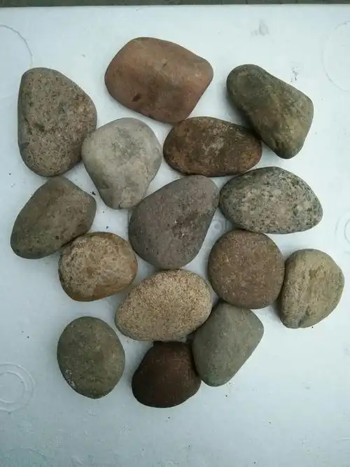 让"宝贝"回家――鹅卵石创意画 二(5)班何淑涵