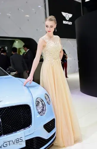 首次发帖.宾利车模,高贵淡雅