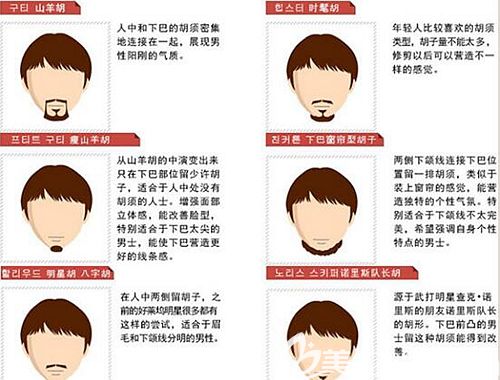 就是胡须种植,通过种植胡子可以让你尽显男人味