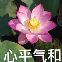 大妈用的老土微信头像图片点击鼠标右键下载