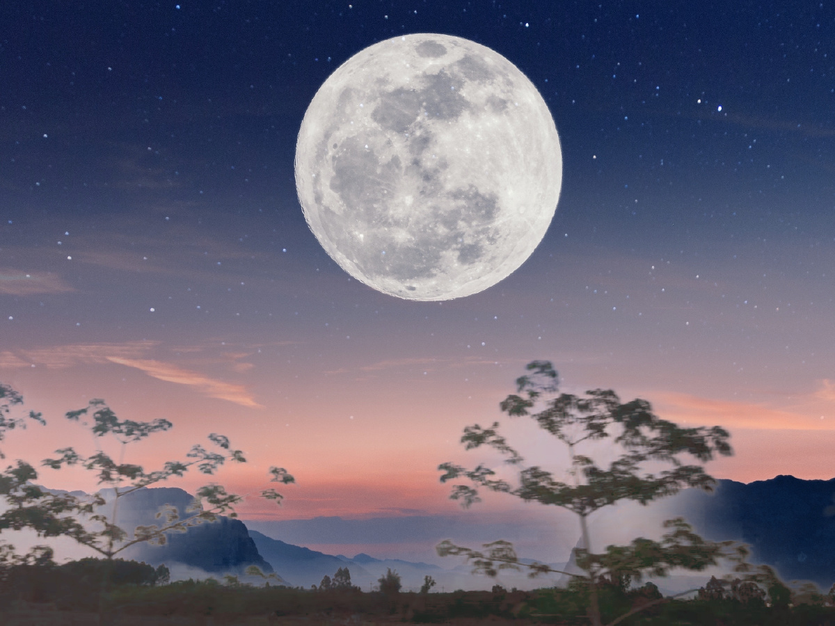 月亮照样你的美 - 潮鞋厂家 - 图虫