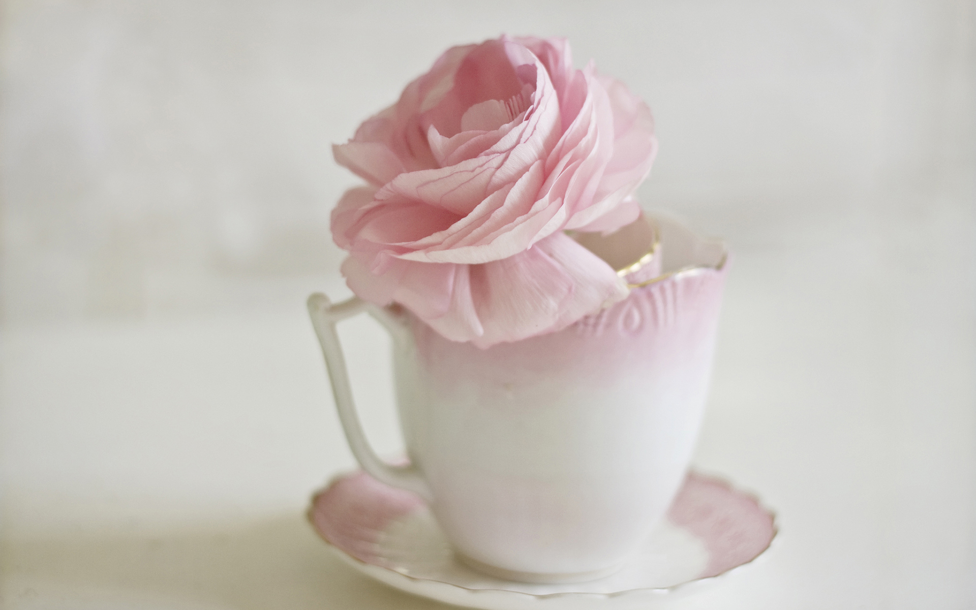 温暖治愈系唯美的杯子高清图片电脑桌面壁纸 第一辑